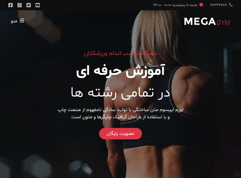 Mega-gym template